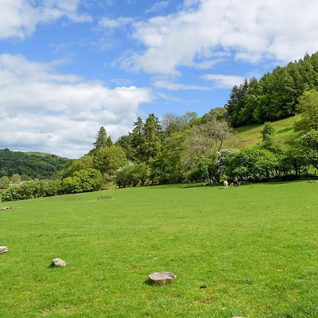 Lower Goytre Farmhouse Llanfair Waterdine Экстерьер фото